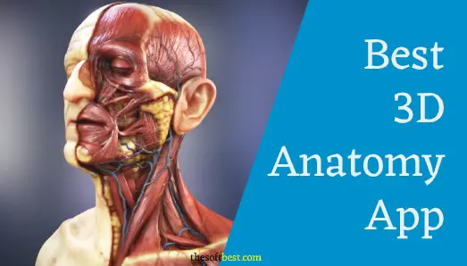 13 Best Anatomy App for Medical Students of 2023