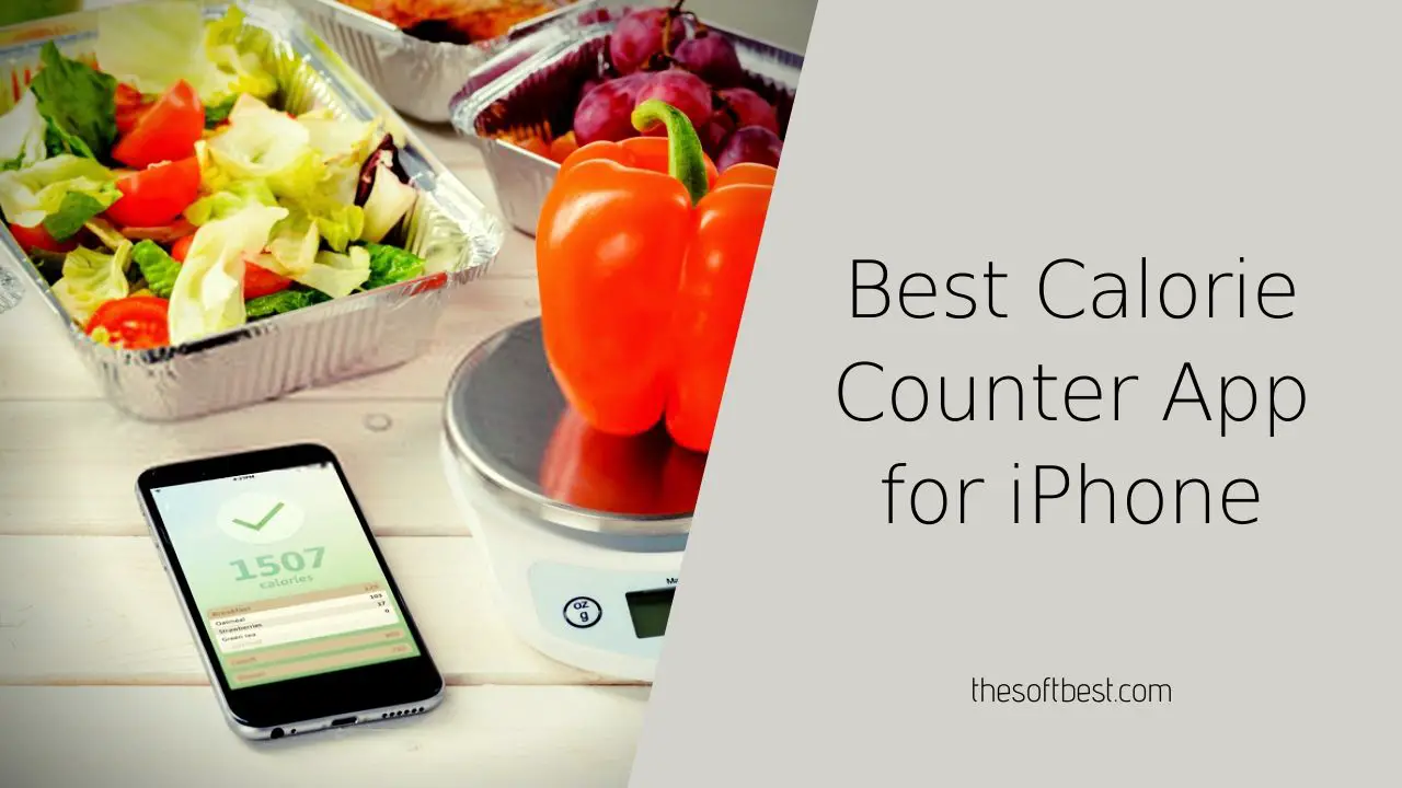 Best Calorie Counter App for iPhone